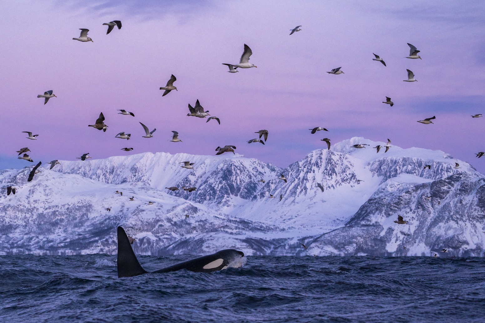 espectaculo de la naturaleza en noruega